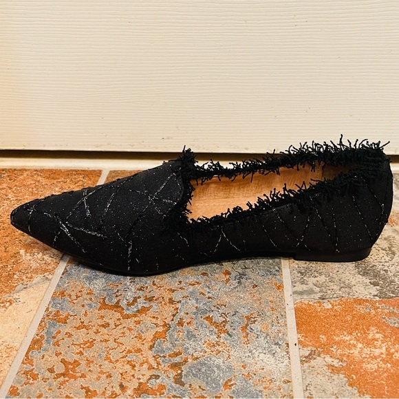 🖤NWOB! Fancy Pointed Toe Black with Silver Metallic Beading, Fringed Flat! - Picture 2 of 12